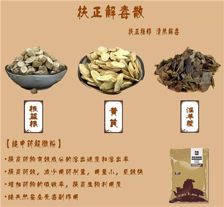 猪呼吸道感染易发，该如何防治？