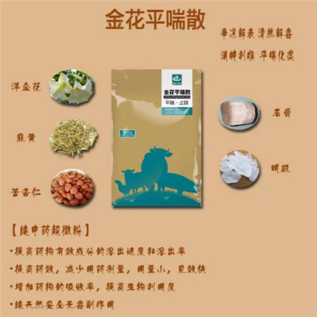 猪呼吸道感染易发，该如何防治？