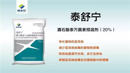 “护士下乡 五菜一汤”之蓝耳调控方案