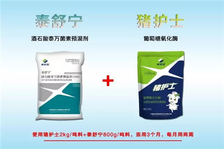 “护士下乡 五菜一汤”之蓝耳调控方案