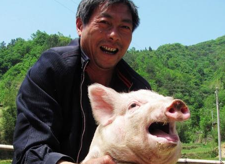 头条号首席畜牧师