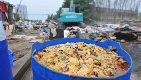 养猪几大误区:养猪人注意了,这样可以减少你的损失