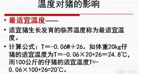 有一句说得好,谁把握了猪舍的温度,谁就把握了猪群!它表明了温度对猪的重要性。温度的重要性,还体现在温度是其他各种环境因素的根源,湿度与温度有关,空气质量与温度有关,密度与温度有关,光照尽管与温度没有直接关系,但也是可以关联的;把握好温度,其它的问题往往可以迎刃而解。