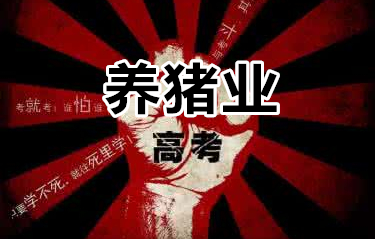 在农村做生意的话,不用说肯定是跟农业有关的生意。大部分选择的都是农产品之类的,不同的地方适合发展不同的产业,要因地制宜!