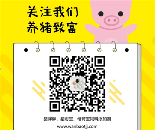 猪肉安全知多少?关于猪养殖的几个小常识!