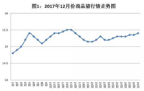 商品猪部-杜 新大牧业