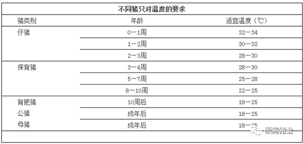 冬季猪场如何处理好保温与通风的平衡,真的两难全吗?