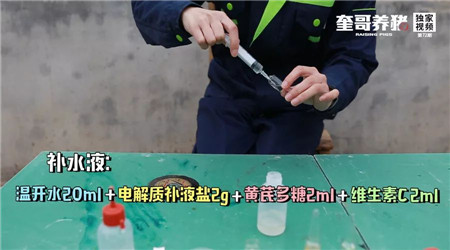 仔猪腹泻真无药可救？正确护理四部曲带来福音……