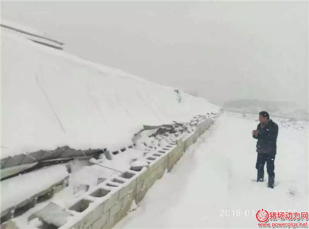 多地猪场遭受暴雪灾害,会对猪价走势产生影响吗?