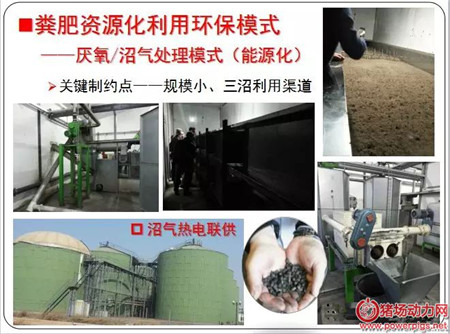 众多养猪业环保模式中,到底哪个才是最靠谱的