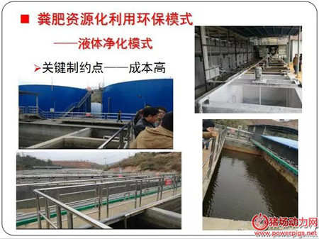 众多养猪业环保模式中,到底哪个才是最靠谱的