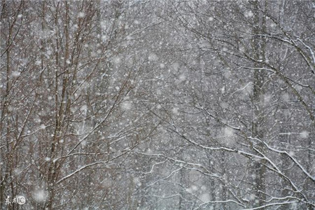 近日来降雪使屠企收购难度增加，被动抬高价格收猪