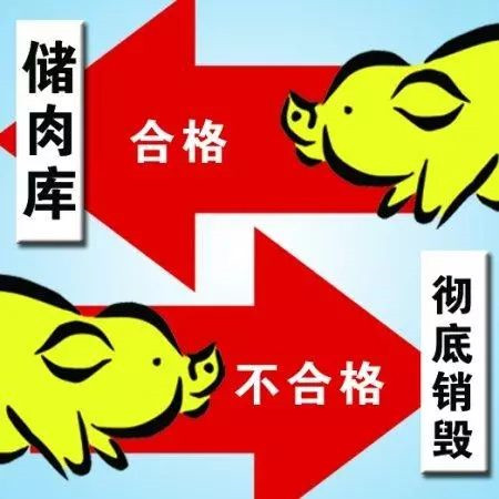 江苏在全国率先关闭所有不合格生猪屠宰企业