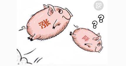 目前,全国瘦肉型猪的出栏均价已经涨至15.26元/公斤,猪价继续上涨的空间非常有限,建议广大养猪人不要去赌行情,适时适重出栏为宜。