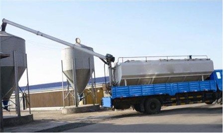 这个饲料新意见一出,畜牧业用一吨饲料就能节省100块