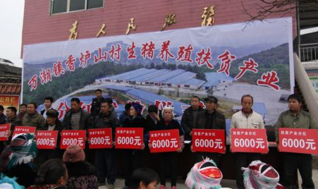 【新时代 新气象 新作为】凯里万潮：“扶贫猪”出栏 贫困户分红