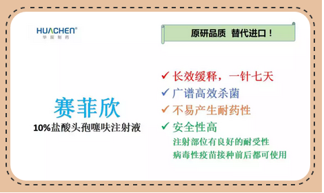我国的规模化猪场中,每出栏一头商品猪,疫苗和兽药所占的份额为70~130元。在相同饲养规模下,每头猪的药费可能相差60元左右,
