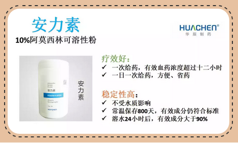 我国的规模化猪场中,每出栏一头商品猪,疫苗和兽药所占的份额为70~130元。在相同饲养规模下,每头猪的药费可能相差60元左右,