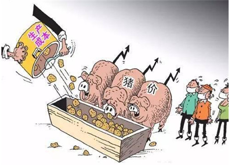 农村小养猪场常见的一个错误做法,让养猪的风险大大增加!