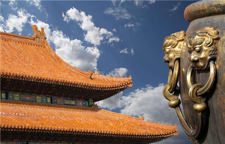 中央发话!将大手笔发展养殖业!好日子来了~