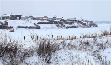 东北地区在建生猪养殖项目投资已超615亿元