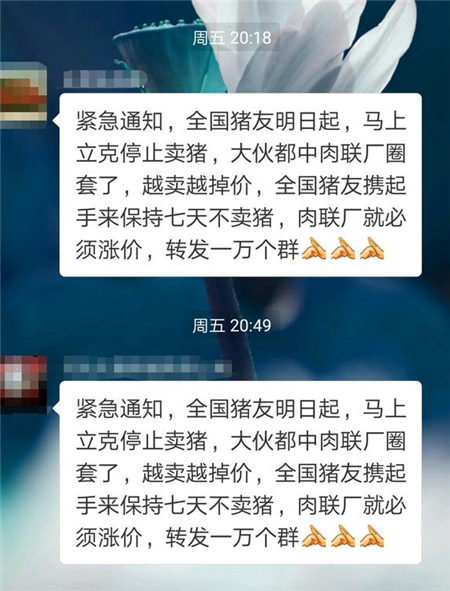 不知最近各位农村养猪的朋友有没有被下面这段话刷屏：紧急通知，全国猪友明日起，马上立刻停止卖猪，大伙都中肉联厂圈套了，越卖越掉价，全国猪友携起手来保持七天不卖猪，肉联厂就必须涨价，转发一万个群[抱拳][抱拳][抱拳]。