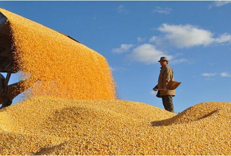 要撸起袖子加油干,做世界一流大粮商,不当坐商、官商、老爷商。”赵双连说。