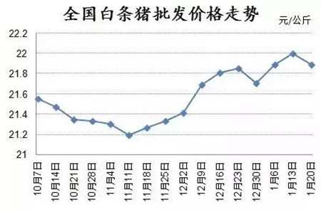猪价为什么还不好转？大概就是因为这个了吧