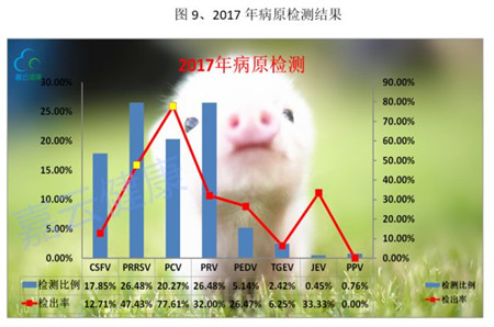 【猪病风向标】2017年年度猪病检测数据解读报告