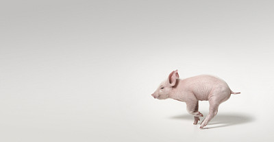 泡腾网络秋意浓