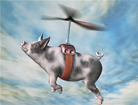 首先我们来说养殖户这一年养殖辛苦了,经历了太多的挫折,苦难,困惑。有些养殖户已经告别了这个行业,有些养殖户还在苦苦的挣扎,有些养殖户是刚入场,不管怎样,都算挺过来了,那为什么还有人说养猪不挣钱呢?