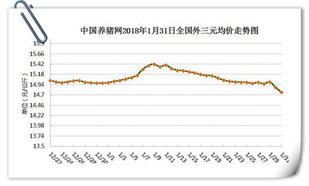 01月31日猪评：猪价跌势停不下来？上涨愿望真的就此破灭？