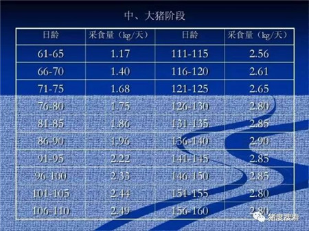 只要方法在，少吃饲料也能长得快！（附：猪各阶段采食表）