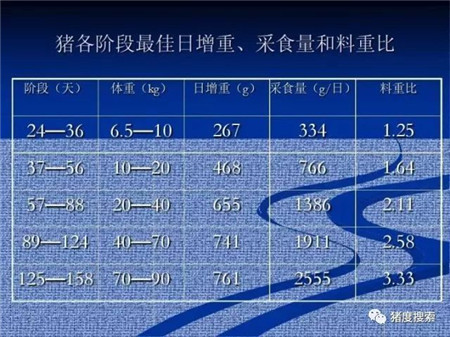 只要方法在，少吃饲料也能长得快！（附：猪各阶段采食表）
