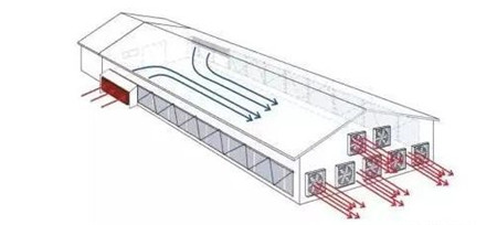 猪舍建造需要注意以下七点