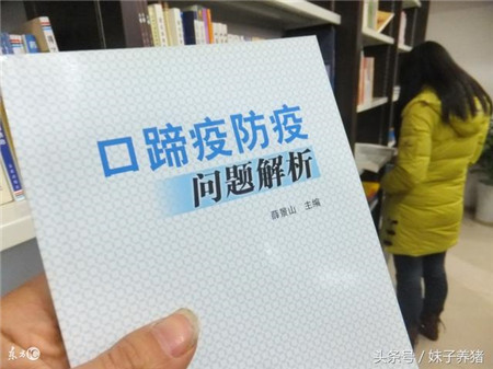 腊月温度低，猪场里面猪病多发，养猪人应该注意什么？