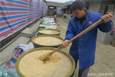 给猪配饲料,要注意这4个原则!你都知道吗?