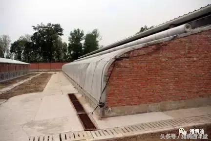 不可忽视的猪舍有害气体!如何保持舍内空气的质量?