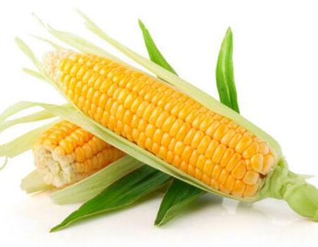 近期国内玉米频繁的抛储影响了市场的看涨热情,玉米期货市场出现了较大跌幅,但是今日已经跌无可跌,基于这个原因我们来分析一下频繁抛储这件事情,为何频繁抛储,后期还会不会抛储,能抛多久?能不能最终打压玉米价格呢?