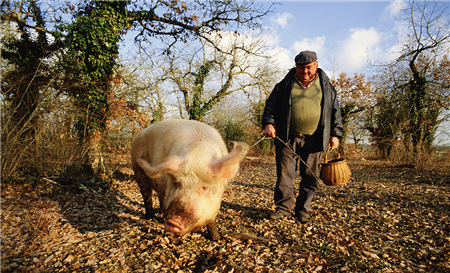 巨潮资讯网整理