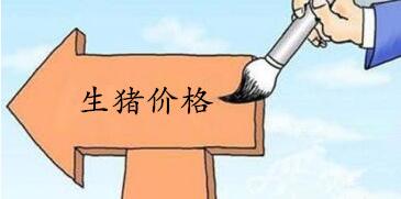 今日猪价无好转,持续跌势,东北、华北地区除内蒙古外全面跌至13元区域,全国跌破15元范围不断扩大。