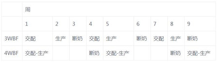 猪场生产数据分析-4周批次生产系统
