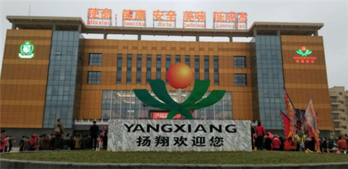 扬帆起航，共谋发展——2017年扬翔饲料经销商年会圆满落幕！