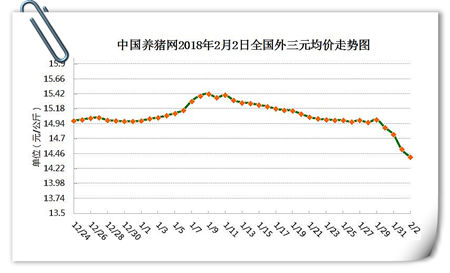 02月02日猪评：猪价暴跌仍持续，建议勿抛售否则助力跌价！