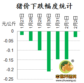 普遍破7但跌幅下降！春节将至猪价将全面反弹！