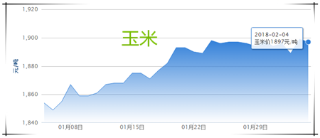 02月04日猪评