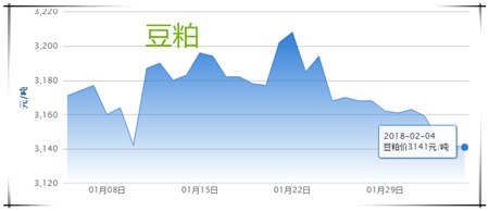 02月04日猪评