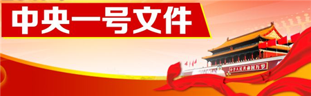 中央一号文件