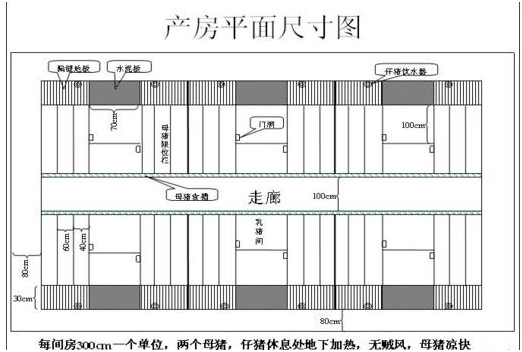 今天给大家带来一套在网上整理的小型养猪场建设图纸，给准备建猪场的朋友参考参考！建猪场除了要图纸