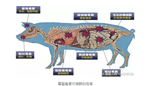PSY应用研究院